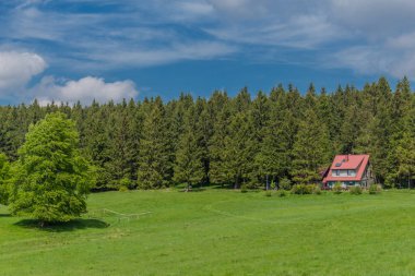 Rennsteig boyunca en güzel gün ışığında bahar benzeri bir uyanış.