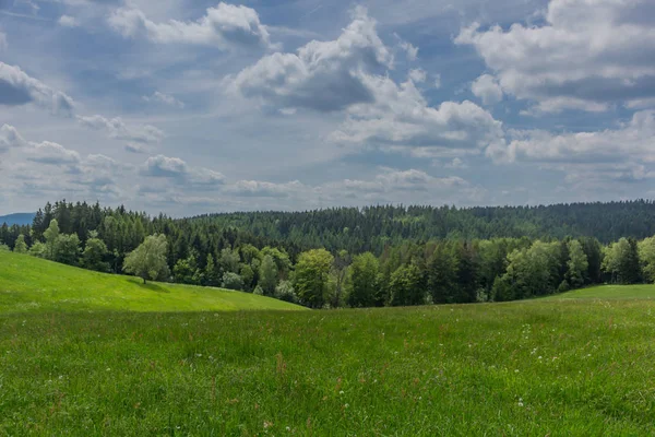 Jarní Probuzení Podél Rennsteigu Nejkrásnějším Slunečním Svitu — Stock fotografie