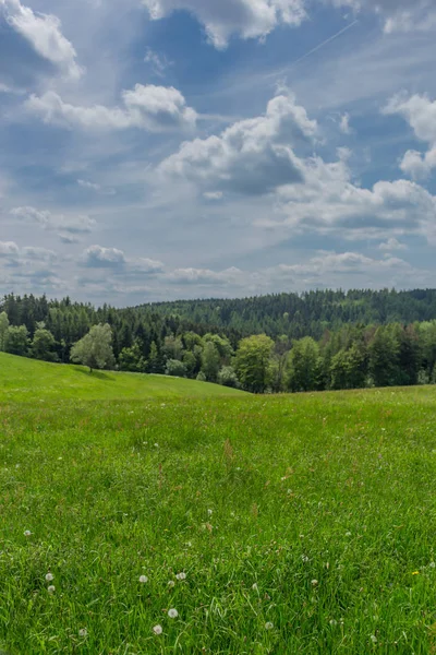 Jarní Probuzení Podél Rennsteigu Nejkrásnějším Slunečním Svitu — Stock fotografie