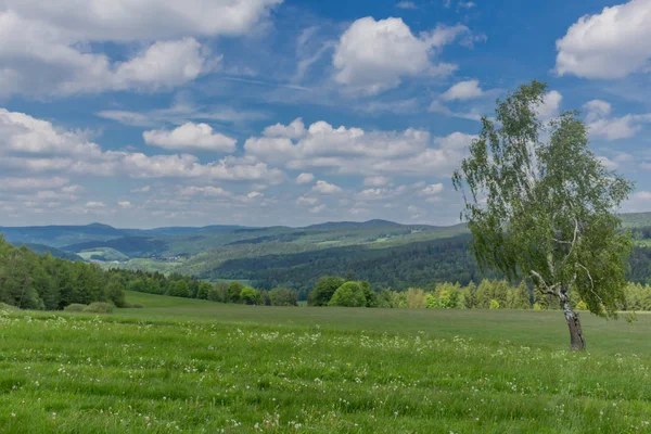 Rennsteig boyunca en güzel gün ışığında bahar benzeri bir uyanış.
