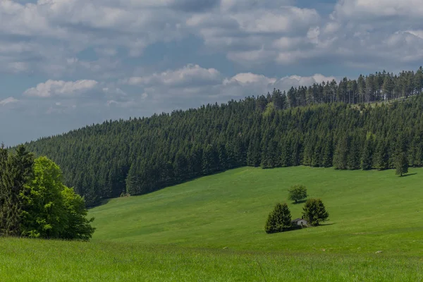 Frühlingserwachen Rennsteig Bei Schönstem Sonnenschein — Stockfoto