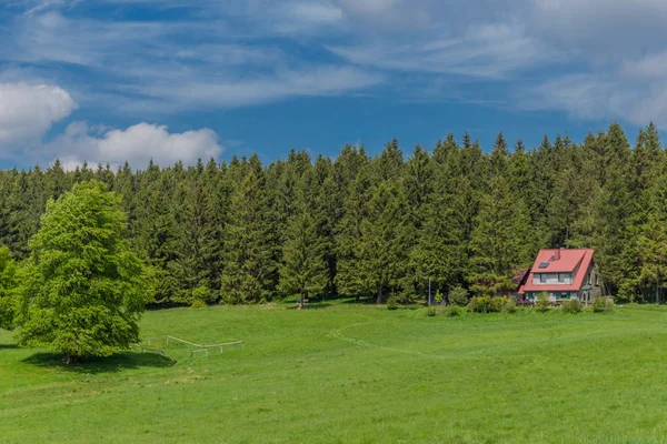 Frühlingserwachen Rennsteig Bei Schönstem Sonnenschein — Stockfoto