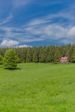 Rennsteig boyunca en güzel gün ışığında bahar benzeri bir uyanış.