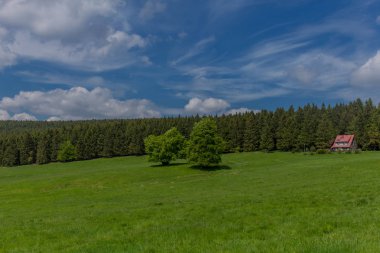 Rennsteig boyunca en güzel gün ışığında bahar benzeri bir uyanış.