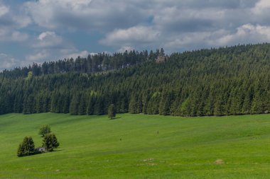 Rennsteig boyunca en güzel gün ışığında bahar benzeri bir uyanış.