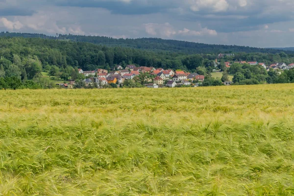 Sommergefühle Auf Einem Getreidefeld — Stockfoto