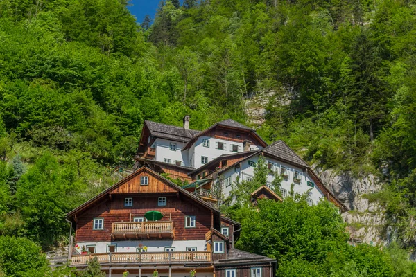 Piękna Wycieczka Eksploracji Wzdłuż Jeziora Hallsttter Letni Dzień Hallstatt Austria — Zdjęcie stockowe
