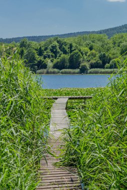 Yaz güzel Werratal boyunca tur keşfetmek. - Breitungen/Seeblick.