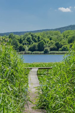 Yaz güzel Werratal boyunca tur keşfetmek. - Breitungen/Seeblick.