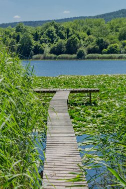 Yaz güzel Werratal boyunca tur keşfetmek. - Breitungen/Seeblick.