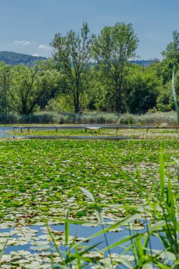Yaz güzel Werratal boyunca tur keşfetmek. - Breitungen/Seeblick.