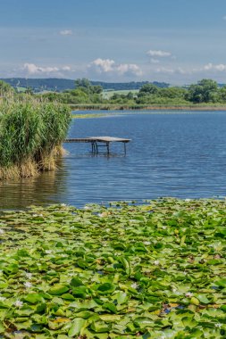 Yaz güzel Werratal boyunca tur keşfetmek. - Breitungen/Seeblick.