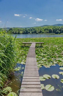 Yaz güzel Werratal boyunca tur keşfetmek. - Breitungen/Seeblick.