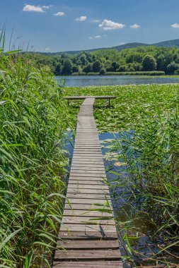 Yaz güzel Werratal boyunca tur keşfetmek. - Breitungen/Seeblick.