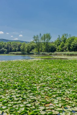 Yaz güzel Werratal boyunca tur keşfetmek. - Breitungen/Seeblick.