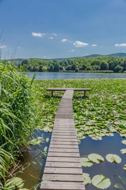 Yaz güzel Werratal boyunca tur keşfetmek. - Breitungen/Seeblick.