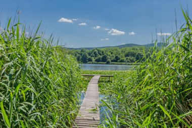 Yaz güzel Werratal boyunca tur keşfetmek. - Breitungen/Seeblick.