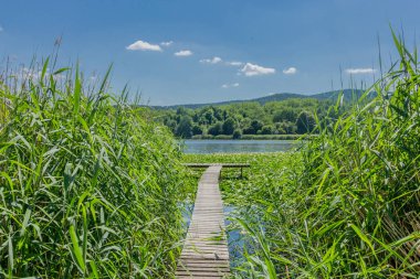 Yaz güzel Werratal boyunca tur keşfetmek. - Breitungen/Seeblick.