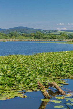 Yaz güzel Werratal boyunca tur keşfetmek. - Breitungen/Seeblick.