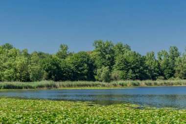 Yaz güzel Werratal boyunca tur keşfetmek. - Breitungen/Seeblick.