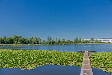 Yaz güzel Werratal boyunca tur keşfetmek. - Breitungen/Seeblick.