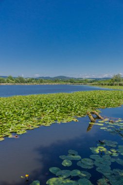 Yaz güzel Werratal boyunca tur keşfetmek. - Breitungen/Seeblick.