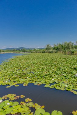 Yaz güzel Werratal boyunca tur keşfetmek. - Breitungen/Seeblick.