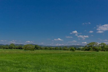 Yaz güzel Werratal boyunca tur keşfetmek. - Breitungen/Seeblick.