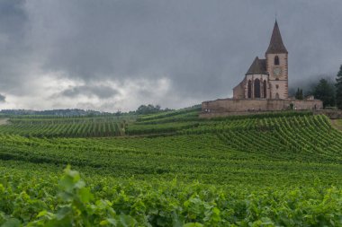 Fransa'da pitoresk Alsace Lorraine ile Harika keşif turu. - Alsace-Lorraine / Fransa.