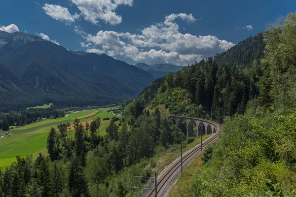 Sviçre Dağlarında Güzel Keşif Turu Landwasser Viyadüğü Sviçre — Stok fotoğraf