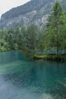 İsviçre'de dağlarda güzel keşif turu. - Blausee/İsviçre
