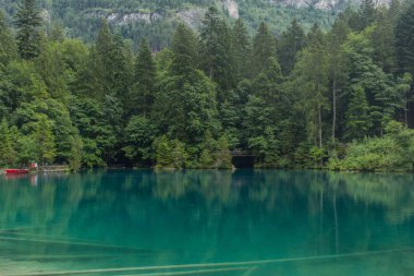 İsviçre'de dağlarda güzel keşif turu. - Blausee/İsviçre