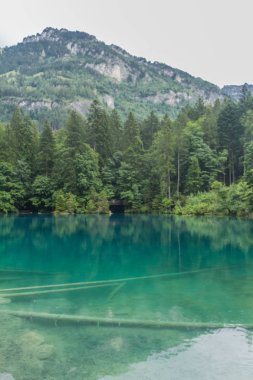 İsviçre'de dağlarda güzel keşif turu. - Blausee/İsviçre