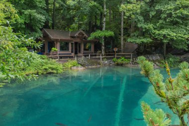 İsviçre'de dağlarda güzel keşif turu. - Blausee/İsviçre