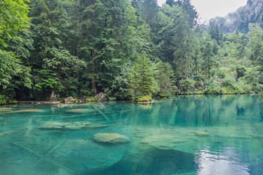 İsviçre'de dağlarda güzel keşif turu. - Blausee/İsviçre