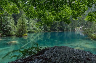 İsviçre'de dağlarda güzel keşif turu. - Blausee/İsviçre