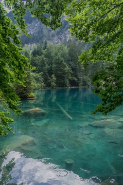 İsviçre'de dağlarda güzel keşif turu. - Blausee/İsviçre