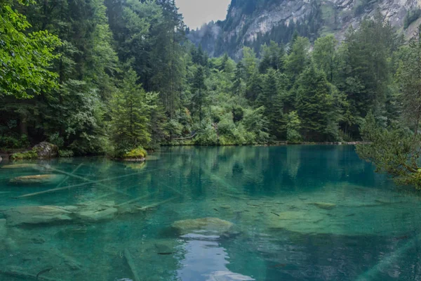 Piękna Wycieczka Eksploracji Przez Góry Szwajcarii Blausee Szwajcaria — Zdjęcie stockowe