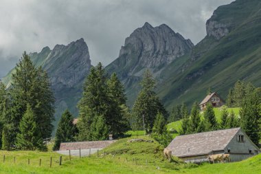 İsviçre 'deki Appenzell dağlarında güzel bir keşif turu. - Appenzell / Alpstein / İsviçre