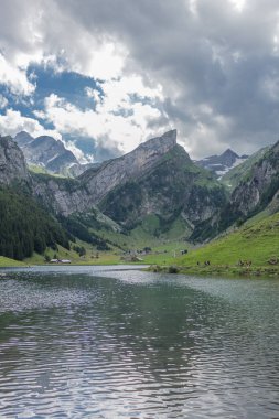 İsviçre 'deki Appenzell dağlarında güzel bir keşif turu. - Appenzell / Alpstein / İsviçre