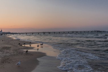 Usedom'un kumlu plajında tatil hissi. - Baltık sahil beldesi Heringsdorf/Almanya