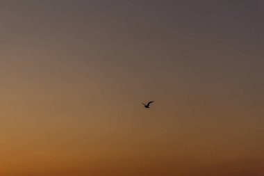 Rgen Binz plajında nefes kesen gündoğumu - Binz/Rgen/Almanya