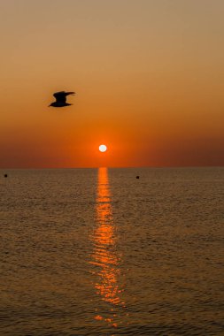 Rgen Binz plajında nefes kesen gündoğumu - Binz/Rgen/Almanya