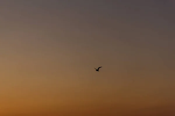 Impresionante Amanecer Playa Binz Rgen Binz Rgen Alemania — Foto de Stock