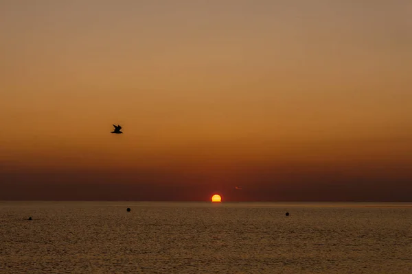 Lever Soleil Couper Souffle Sur Plage Binz Sur Rgen Binz — Photo