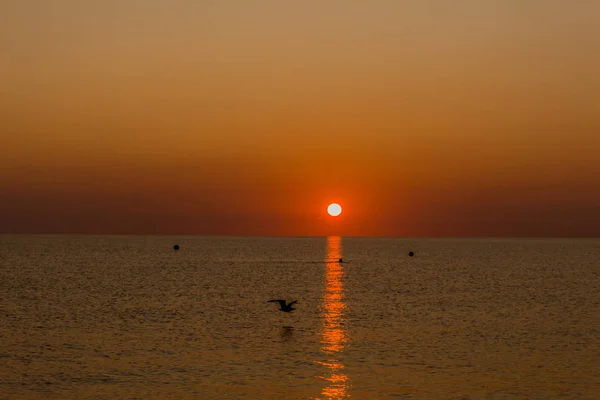 Atemberaubender Sonnenaufgang Strand Von Binz Auf Rgen Binz Rgen Deutschland — Stockfoto