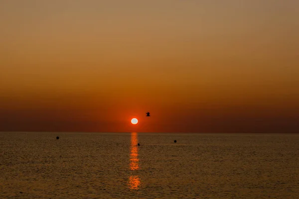 Zapierające Dech Piersiach Wschód Słońca Plaży Binz Rgen Binz Rgen — Zdjęcie stockowe