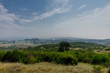 Baltık Denizi adası Hiddensee yaz gezisi - Hiddensee/Germany