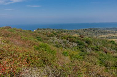 Baltık Denizi adası Hiddensee yaz gezisi - Hiddensee/Germany