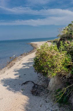 Baltık Denizi adası Hiddensee yaz gezisi - Hiddensee/Germany